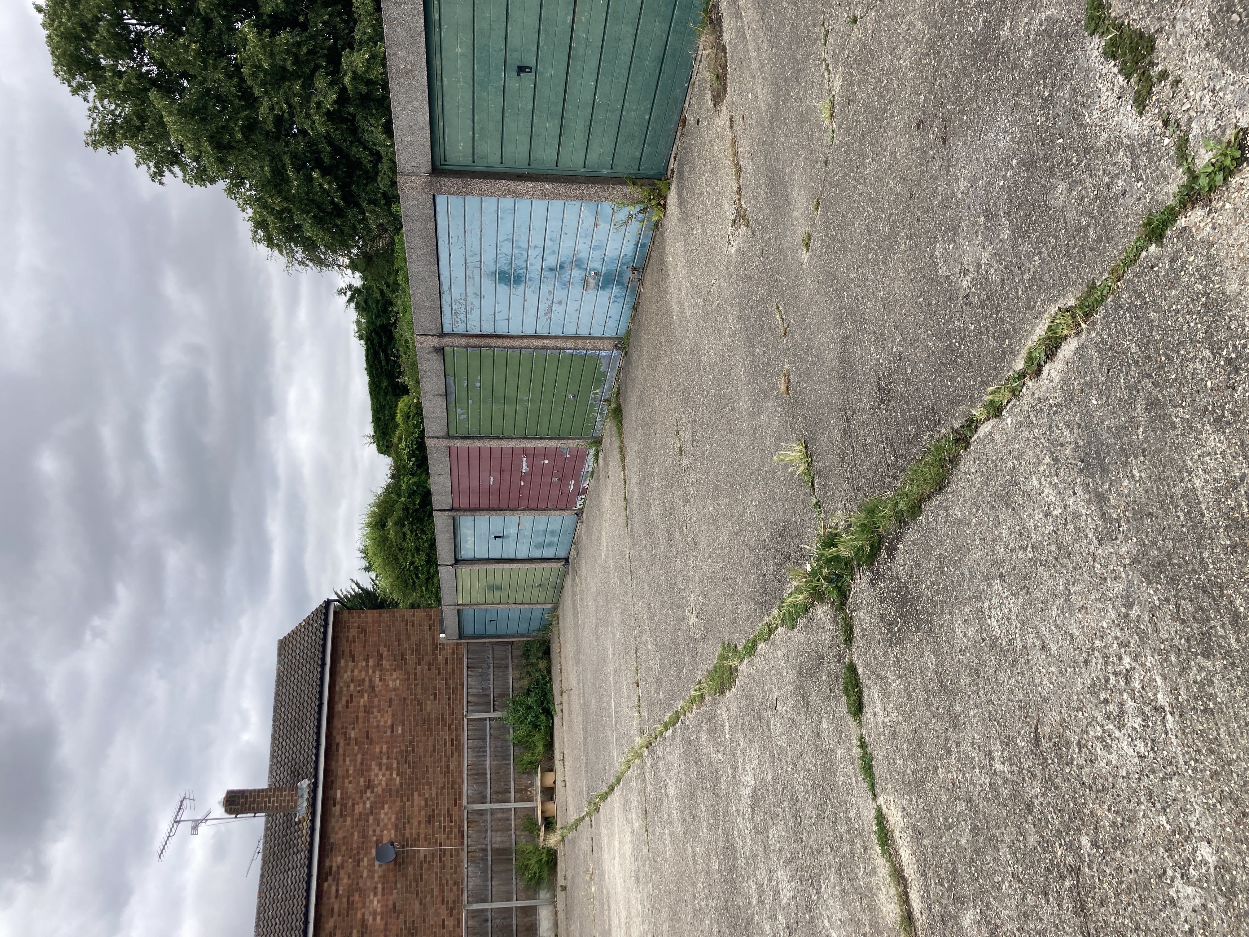 1782884667IMG_5258.JPG