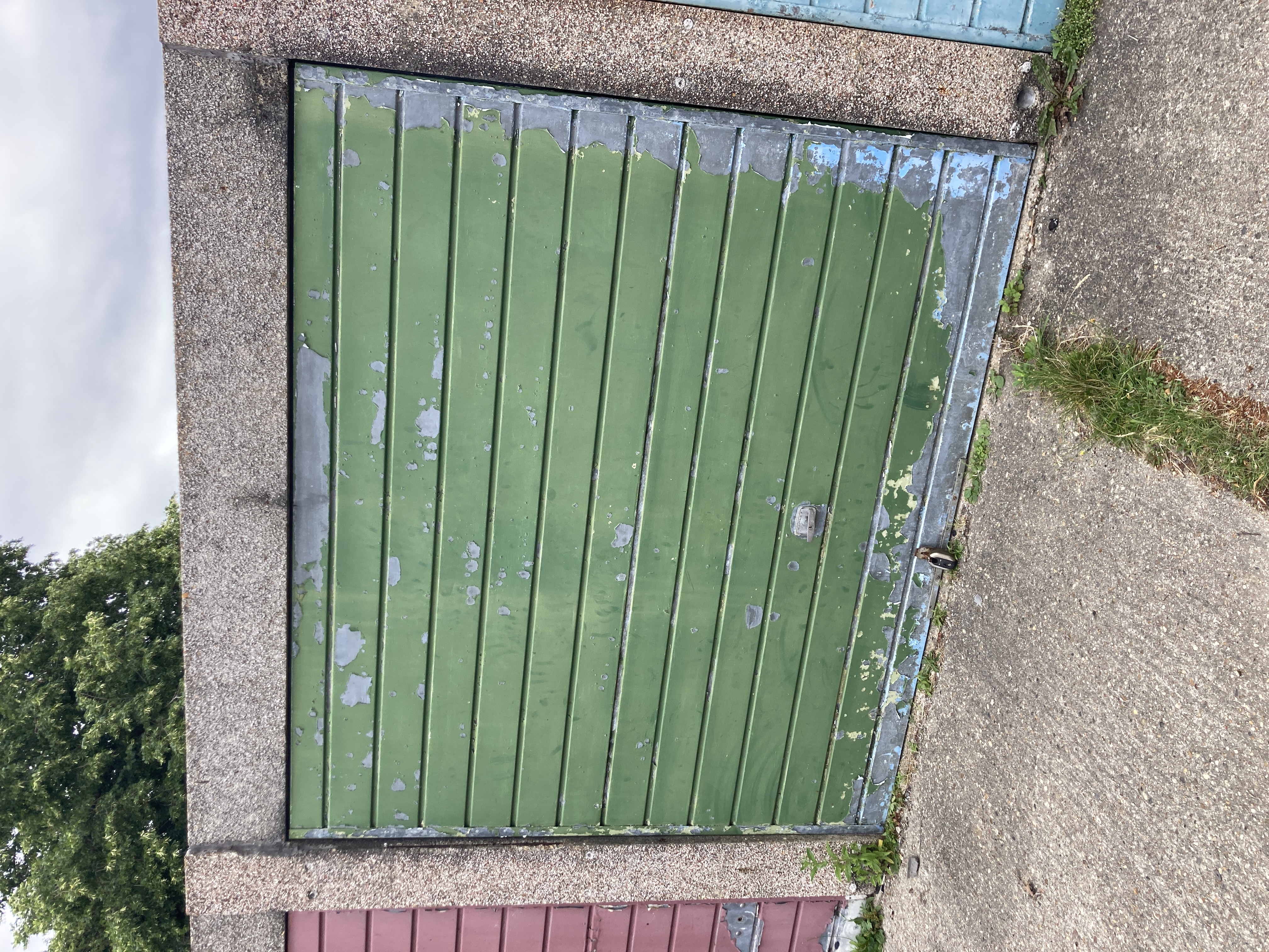 1782884667IMG_5259.JPG
